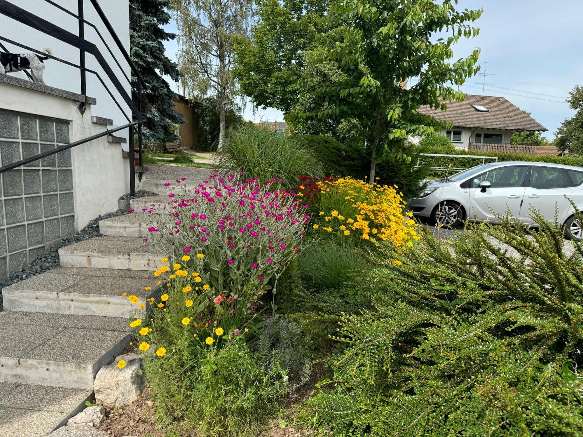 Apartamento Haus Waldeck Ühlingen-Birkendorf Exterior foto